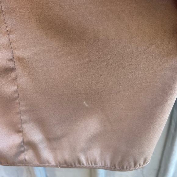 Fabiana Filippi Champagne Silk Dress, Size Large - Picture 15 of 15